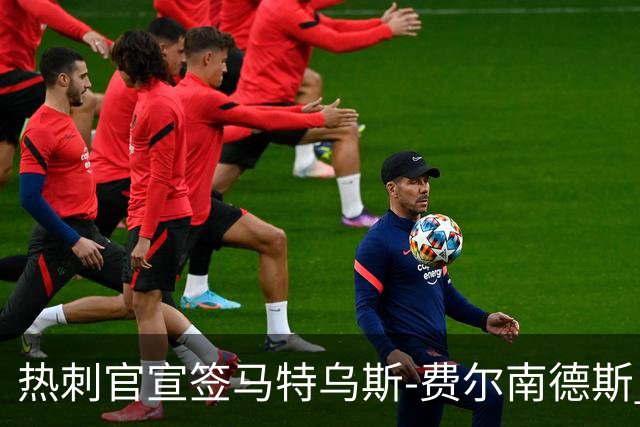 热刺官宣签马特乌斯-费尔南德斯 转会费8500万镑破纪录